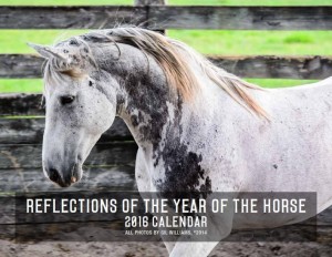 Year of the Horse Calendar